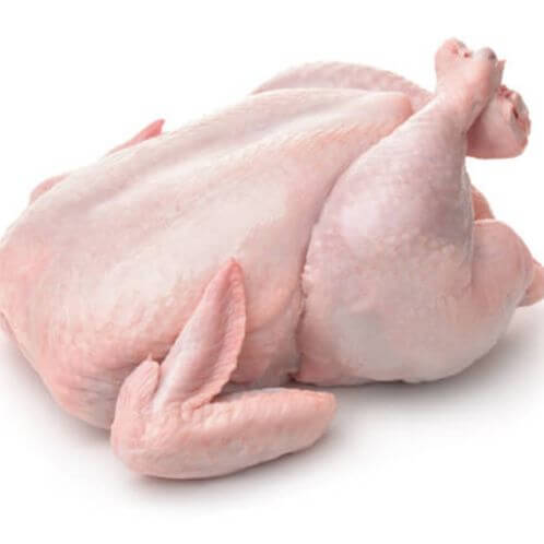 Chicken Meat